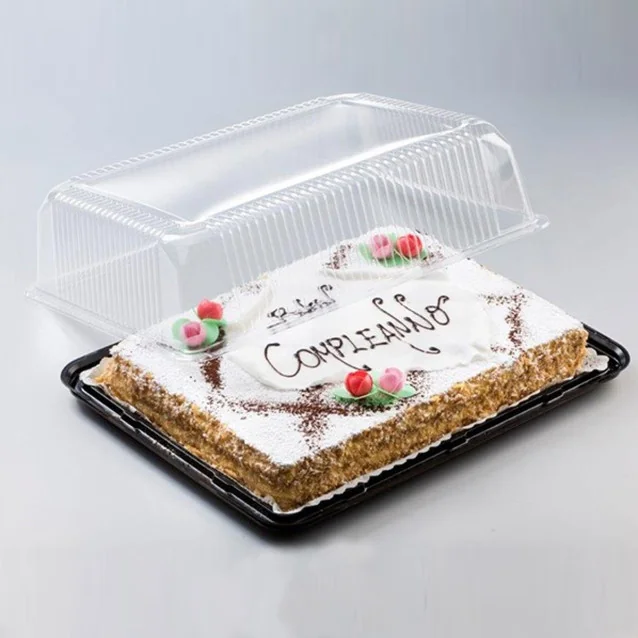 Pladenj s pokrovom za torte ali slaščice, 400 X 300 X 105 mm