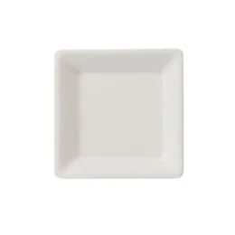 Bio krožnik kvadrat, 20 x 20 cm