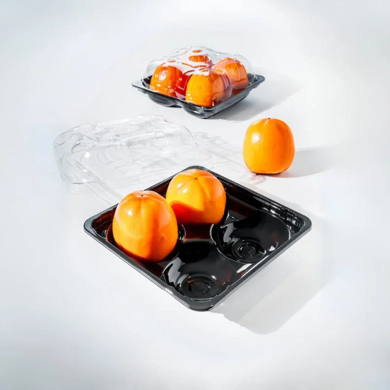 Posodica s pokrovom za 4 sadeže